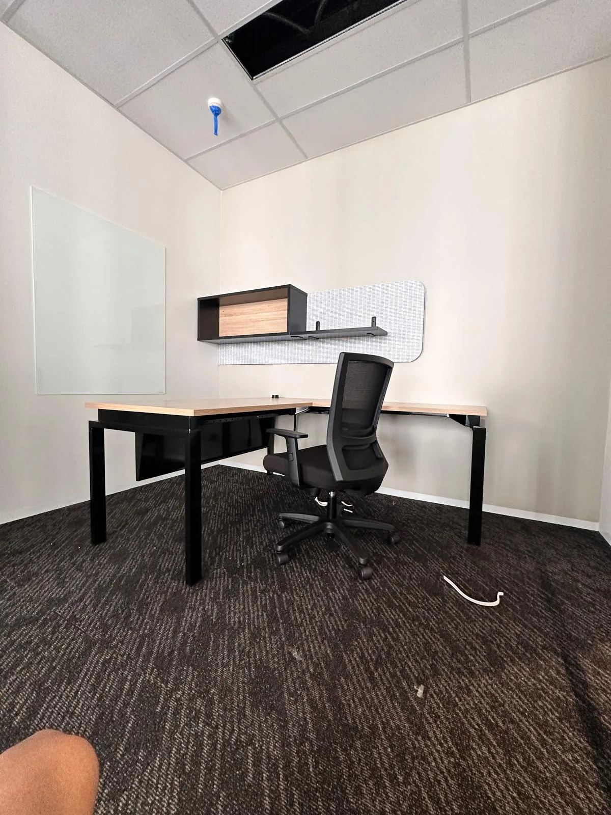 Private office with desk, task chair and wall shelf