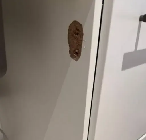 Before: deep gouge in a white cabinet face